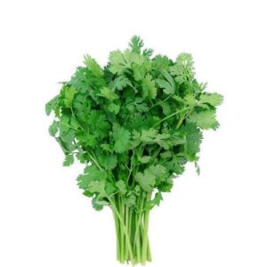 Green Coriander 1 Bundle Hura Dhanya
