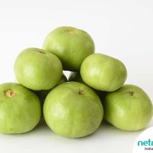 Round Gourd ( ????? ) Tinda